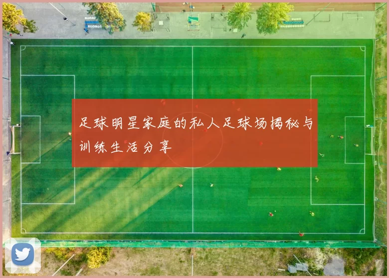 足球明星家庭的私人足球场揭秘与训练生活分享