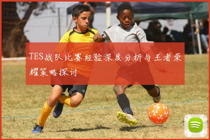 TES战队比赛经验深度分析与王者荣耀策略探讨