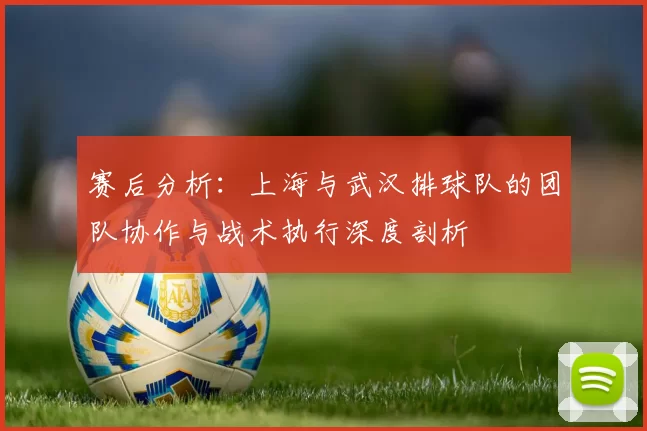 赛后分析：上海与武汉排球队的团队协作与战术执行深度剖析