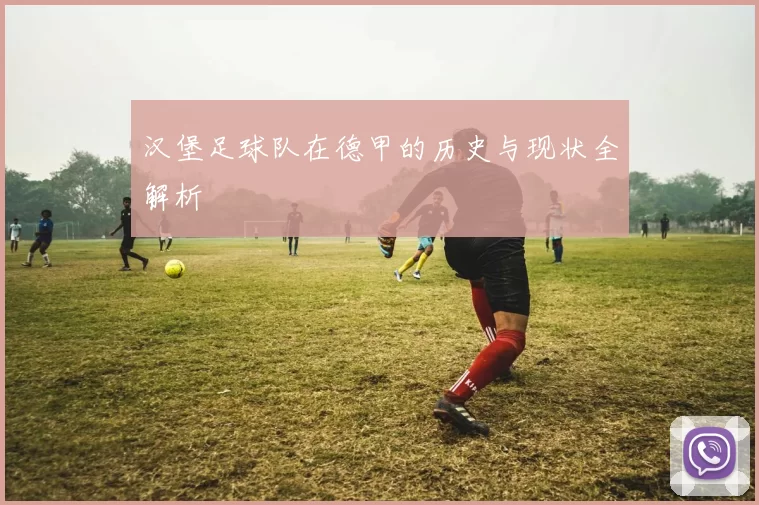 汉堡足球队在德甲的历史与现状全解析