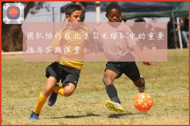 团队协作在北京羽毛球队中的重要性与实践探索