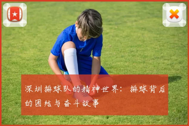 深圳排球队的精神世界：排球背后的团结与奋斗故事