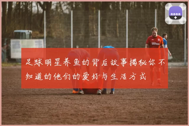 足球明星养鱼的背后故事揭秘你不知道的他们的爱好与生活方式
