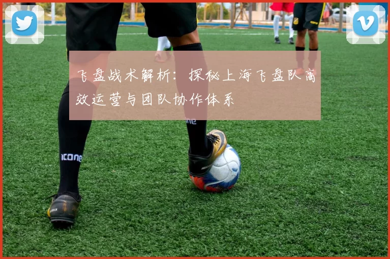 飞盘战术解析：探秘上海飞盘队高效运营与团队协作体系