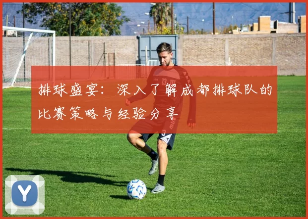 排球盛宴：深入了解成都排球队的比赛策略与经验分享