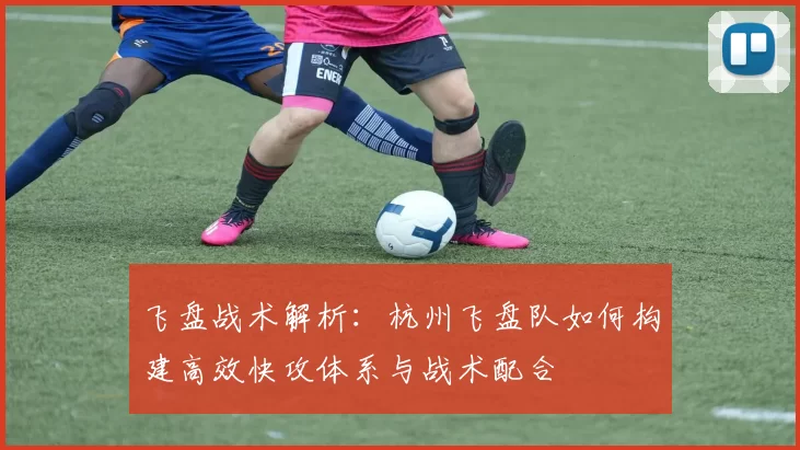飞盘战术解析：杭州飞盘队如何构建高效快攻体系与战术配合