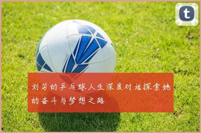 刘芳的乒乓球人生深度对话探索她的奋斗与梦想之路