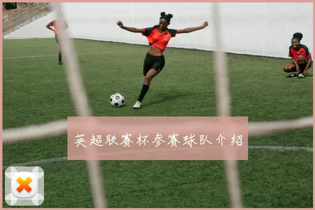 英超联赛杯参赛球队介绍