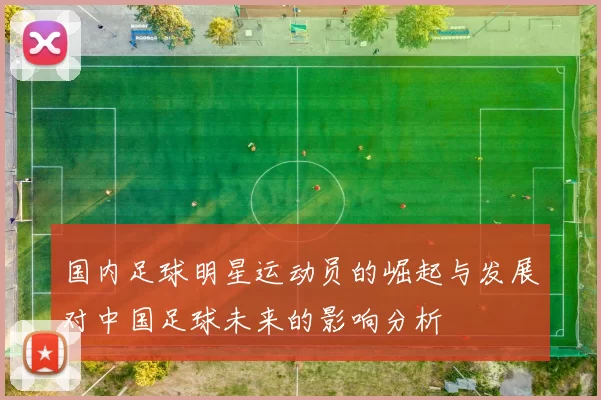 国内足球明星运动员的崛起与发展对中国足球未来的影响分析