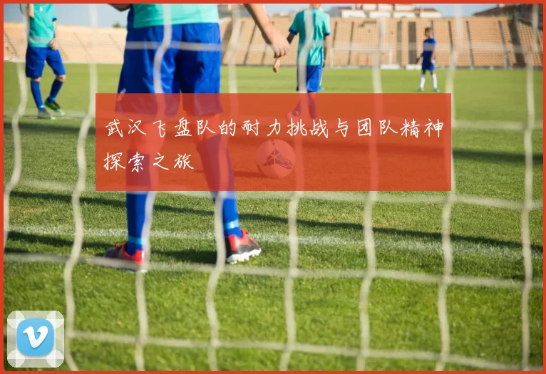 武汉飞盘队的耐力挑战与团队精神探索之旅
