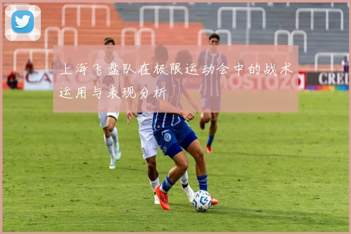 上海飞盘队在极限运动会中的战术运用与表现分析