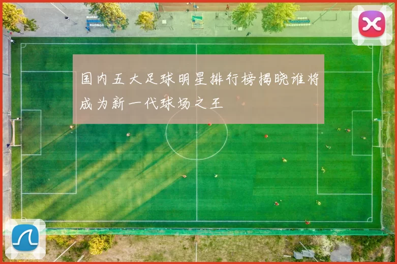 国内五大足球明星排行榜揭晓谁将成为新一代球场之王