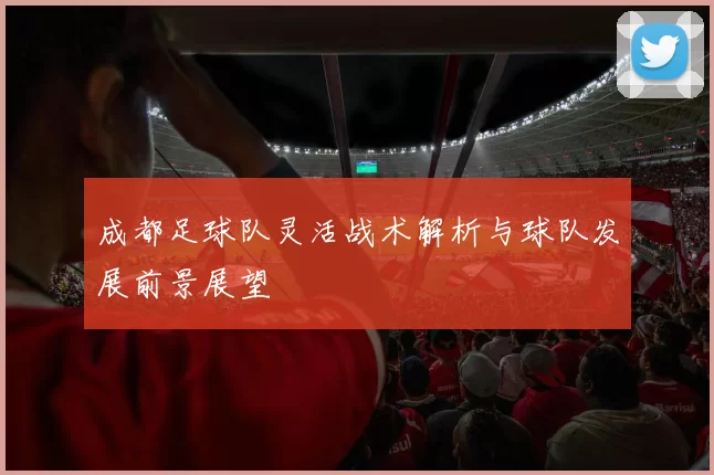 成都足球队灵活战术解析与球队发展前景展望