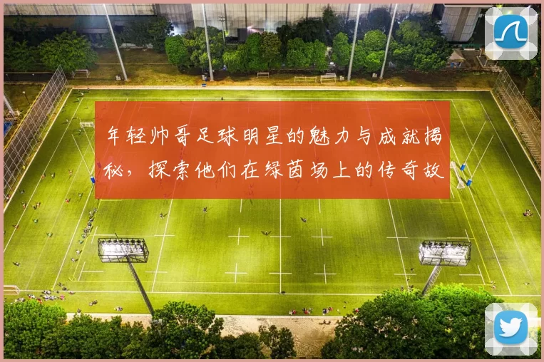 年轻帅哥足球明星的魅力与成就揭秘，探索他们在绿茵场上的传奇故事