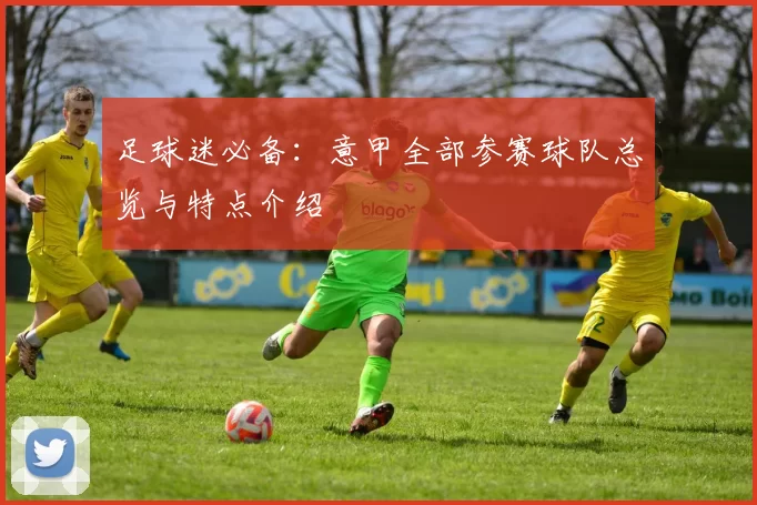 足球迷必备：意甲全部参赛球队总览与特点介绍