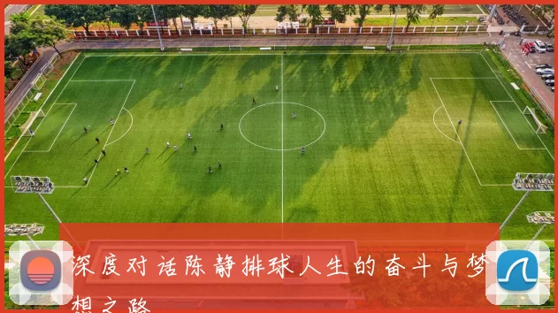 深度对话陈静排球人生的奋斗与梦想之路
