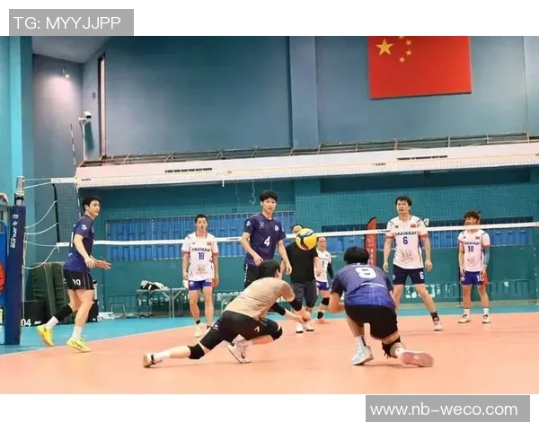 排球魅力无穷：深入了解上海排球队的灵活战术与团队精神