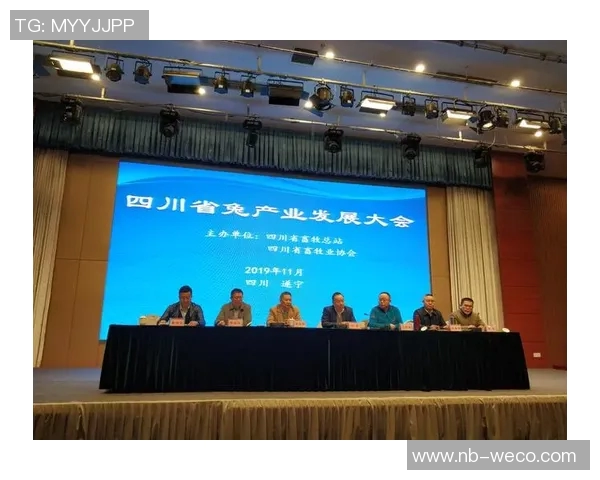 以前锋为中心,探讨现代企业如何通过创新与技术实现突破性发展 以前锋为中心,探讨现代企业如何通过创新与技术实现突破性发展