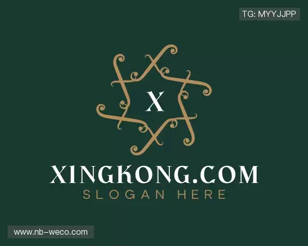 介绍xingkong.com